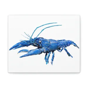 Blue Crawfish Stretched Canvas