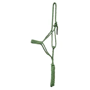 Cashel Flat Braid Halter with Lead Rope- Green