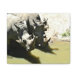 Rhinos Stretched Canvas