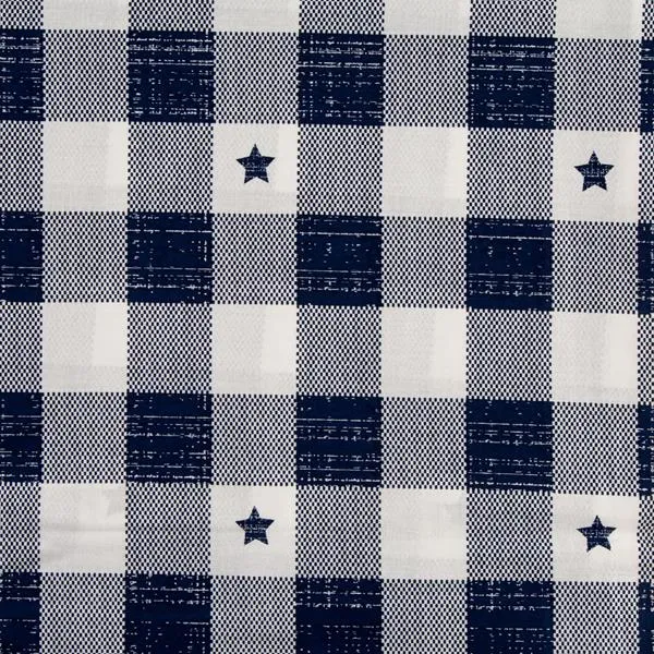 Stars and Checks Extra Extra Wide Quilt Backing